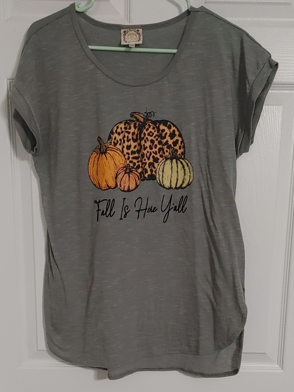 Gray Tee with Pumpkin Graphic "Fall Is Here Y'all" Best Fit Lg-XL Lightweight